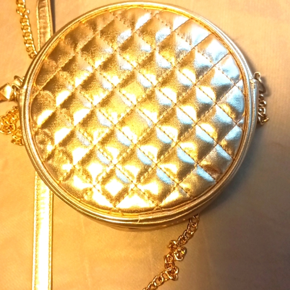 Art Class Gold Quilted Small Purse
